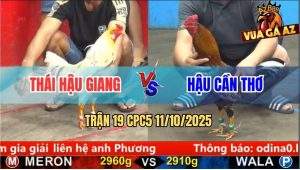 Trận 19 CPC5 11/10/2025 - Anh Thái Hậu Giang Và Anh Hậu Cần Thơ