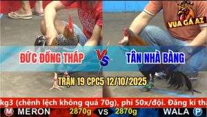 Trận 19 CPC5 12/10/2025 - Anh Đức Đồng Tháp Và Anh Tân Nhà Bàng
