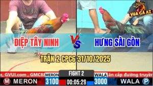 Trận 2 CPC6 31/10/2025 - Gà Điều Đá Cựa Muốn Bệnh, Gà Que Hết Sông