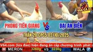 Trận 20 CPC5 2/10/2025 - Anh Phong Tiền Giang Và Anh Đại An Biên