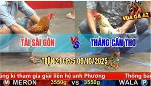 Trận 21 CPC5 9/10/2025 - Anh Tài Sài Gòn Và Anh Thắng Cần Thơ