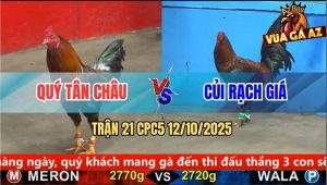 Trận 21 CPC5 12/10/2025 - Anh Quý Tân Châu Và Anh Củi Rạch Giá