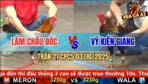Trận 21 CPC5 3/10/2025 - Anh Lâm Châu Đốc Và Anh Vỹ Kiên Ginag