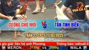 Trận 22 CPC5 11/10/2025 - Anh Cương Chợ Mới Và Anh Tấn Tịnh Biên