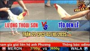 Trận 22 CPC5 3/10/2025 - Anh Lượng Thoại Sơn Và Anh Tèo Đen Lê