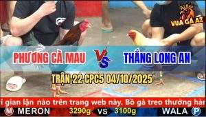 Trận 22 CPC5 4/10/2025 - Anh Phương Cà Mau Và Anh Thắng Long An