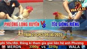 Trận 23 CPC5 9/10/2025 - Anh Phương Long Xuyên Và Anh Tèo Giồng Riềng