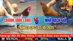Trận 23 CPC5 2/10/2025 - Anh Chánh Vĩnh Long Và Anh Nhã Rạch Giá