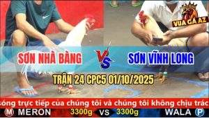 Trận 24 CPC5 1/10/2025 - Anh Sơn Nhà Bàng Và Anh Sơn Vĩnh Long