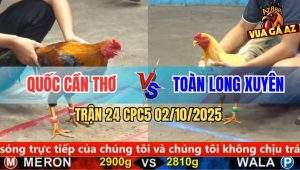 Trận 24 CPC5 2/10/2025 - Anh Quốc Cần Thơ Và Anh Toàn Long Xuyên