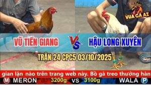 Trận 24 CPC5 3/10/2025 - Anh Vũ Tiền Giang Và Anh Hậu Long Xuyên