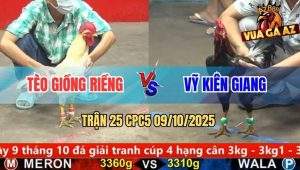 Trận 25 CPC5 9/10/2025 - Anh Tèo Giồng Riềng Và Anh Vỹ Kiên Giang