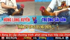 Trận 25 CPC5 1/10/2025 - Anh Hùng Long Xuyên Và Anh Trường Sài Gòn