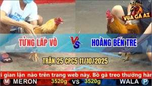 Trận 25 CPC5 11/10/2025 - Anh Tửng Lấp Vò Và Anh Hoàng Bến Tre