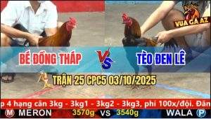 Trận 25 CPC5 3/10/2025 - Anh Bé Đồng Tháp Và Anh Tèo Đen Lê
