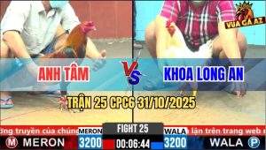 Trận 25 CPC6 31/10/2025 - Gà Úa Anh Khoa Bất Lực Trước Gà Que Anh Tâm