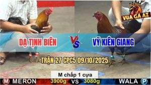 Trận 27 CPC5 9/10/2025 - Anh Dạ Tịnh Biên Và Anh Vỹ Kiên Giang