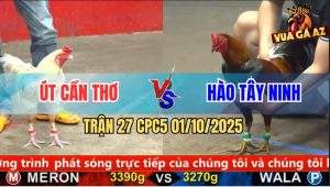 Trận 27 CPC5 1/10/2025 - Anh Út Cần Thơ Và Anh Hào Tây Ninh