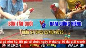 Trận 27 CPC5 3/10/2025 - Anh Bốn Tân Quới Và Anh Nam Giồng Riềng