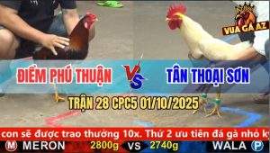 Trận 28 CPC5 1/10/2025 - Anh Điểm Phú Thuận Và Anh Tân Thoại Sơn