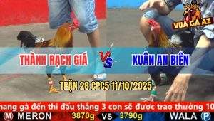 Trận 28 CPC5 11/10/2025 - Anh Thành Rạch Giá Và Anh Xuân An Biên
