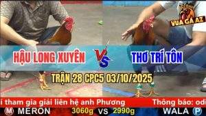 Trận 28 CPC5 3/10/2025 - Anh Hậu Long Xuyên Và Anh Thơ Trí Tôn