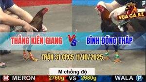Trận 31 CPC5 11/10/2025 - Anh Thắng Kiên Giang Và Anh Bình Đồng Tháp