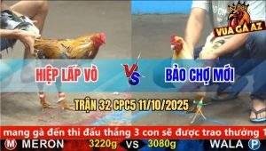 Trận 32 CPC5 11/10/2025 - Anh Hiệp Lấp Vò Và Anh Bảo Chợ Mới