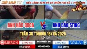 Trận 36 TonHon 18/10/2025 - Khét Cọp Bảo Sting Có Chân Gạt Cần Số