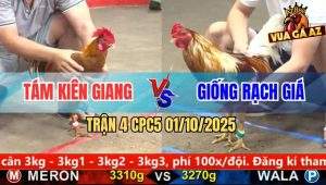 Trận 4 CPC5 1/10/2025 - Anh Tám Kiên Giang Và Anh Giống Rạch Giá
