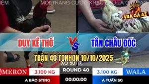Trận 40 TonHon 10/10/2025 - Gà Bướm Anh Tân Đâm Điều Anh Duy Tai Biến