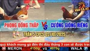 Trận 5 CPC5 2/10/2025 - Anh Phong Đồng Tháp Và Anh Cường Giồng Riềng