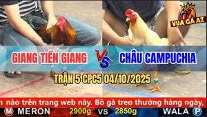 Trận 5 CPC5 4/10/2025 - Anh Giang Tiền Giang Và Anh Châu Campuchia