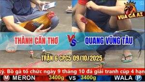 Trận 6 CPC5 9/10/2025 - Anh Thành Cần Thơ Và Anh Quang Vũng Tàu