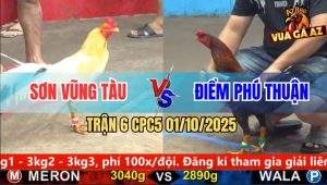 Trận 6 CPC5 1/10/2025 - Anh Sơn Vũng Tàu Và Anh Điểm Phú Thuận