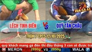 Trận 7 CPC5 12/10/2025 - Anh Lếch Tịnh Biên Và Anh Quý Tân Châu