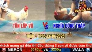 Trận 7 CPC5 13/10/2025 - Anh Tân Lấp Vò Và Anh Nghĩa Đồng Tháp