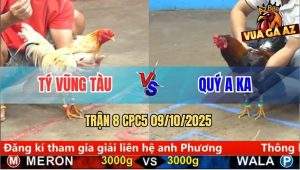 Trận 8 CPC5 9/10/2025 - Anh Tý Vũng Tàu Và Anh Quý A Ka