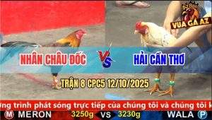 Trận 8 CPC5 12/10/2025 - Anh Nhân Châu Đốc Và Anh Hải Cần Thơ