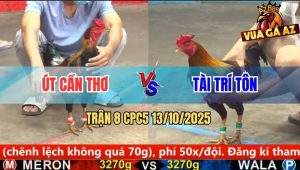 Trận 8 CPC5 13/10/2025 - Anh Út Cần Thơ Và Anh Tài Trí Tôn