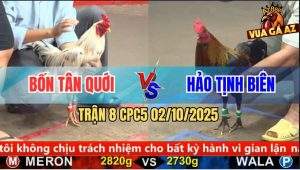 Trận 8 CPC5 2/10/2025 - Anh Bốn Tân Quới Và Anh Hải Tịnh Biên