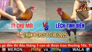 Trận 8 CPC5 3/10/2025 - Anh Tý Chợ Mới Và Anh Lếch Tịnh Biên