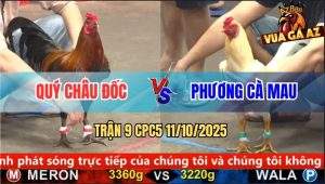 Trận 9 CPC5 11/10/2025 - Anh Quý Châu Đốc Và Anh Phương Cà Mau