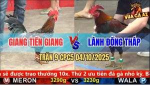 Trận 9 CPC5 4/10/2025 - Anh Giang Tiền Giang Và Anh Lành Đồng Tháp