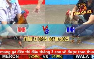 Trận 13 CPC5 6/10/2025