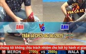 Trận 14 CPC5 6/10/2025