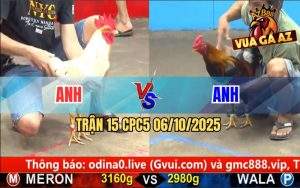 Trận 15 CPC5 6/10/2025