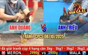 Trận 7 CPC5 8/10/2025