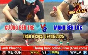 Trận 9 CPC5 7/10/2025