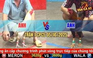 Trận 1 CPC5 5/10/2025